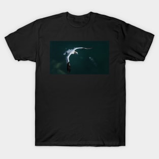 Gannet in flight T-Shirt